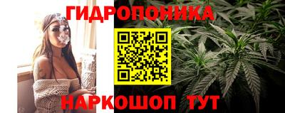 скорость Гатчина