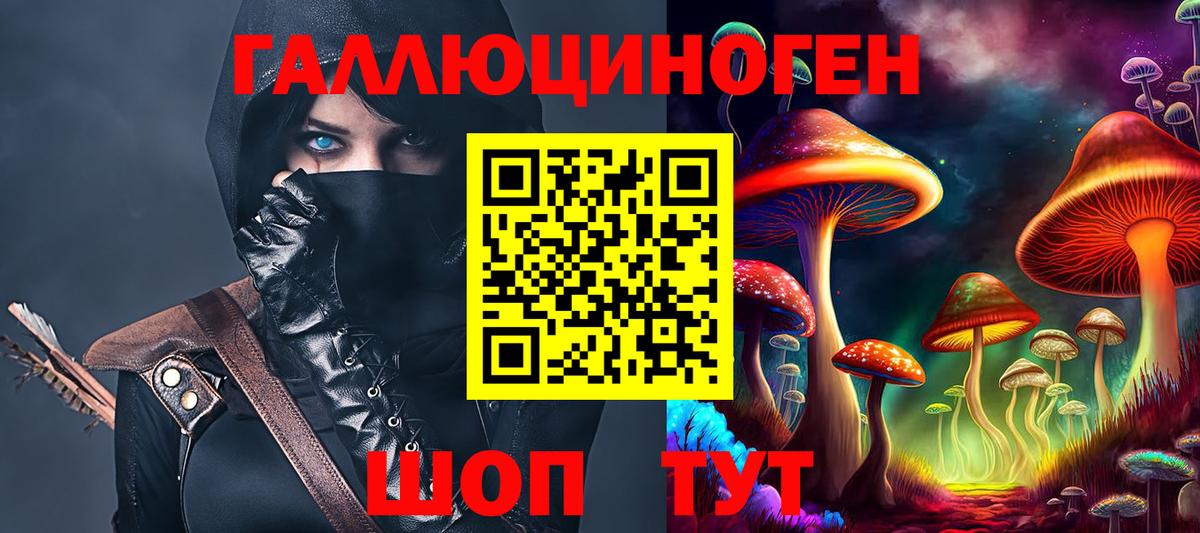 Дубна  Псилоцибиновые грибы Psilocybe  Вход с VPN 