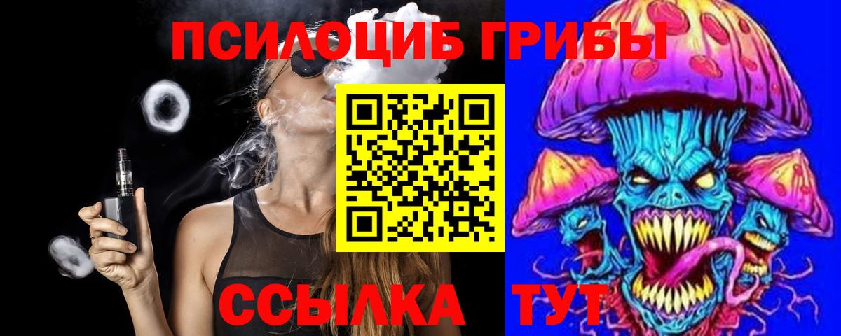 Псилоцибиновые грибы Psilocybine cubensis Дубна